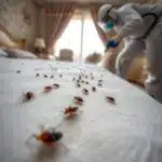 من نحن عن الشركة